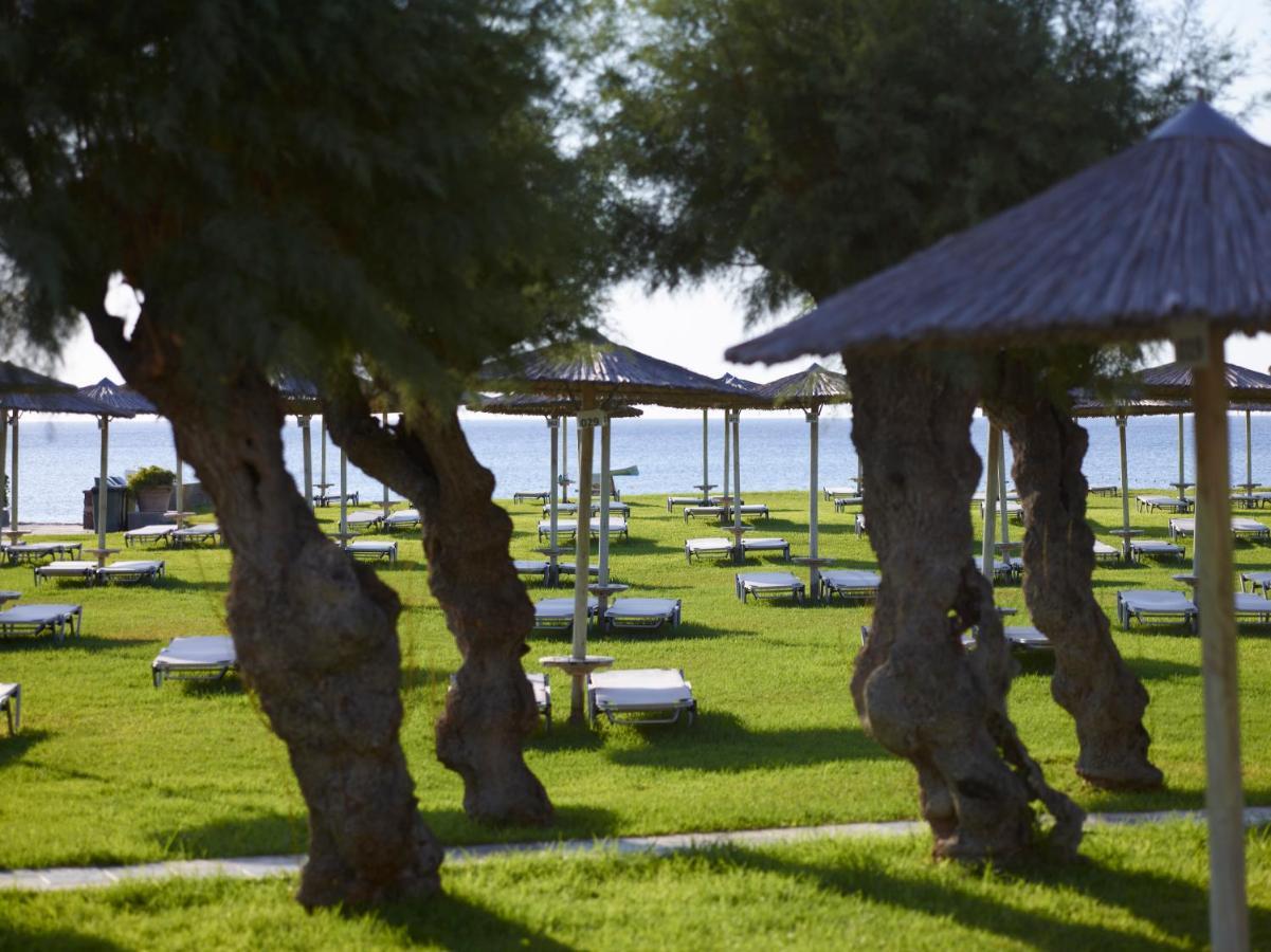 Apollo Beach Faliraki Dış mekan fotoğraf
